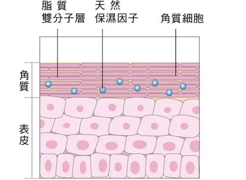 砖墙结构.jpg